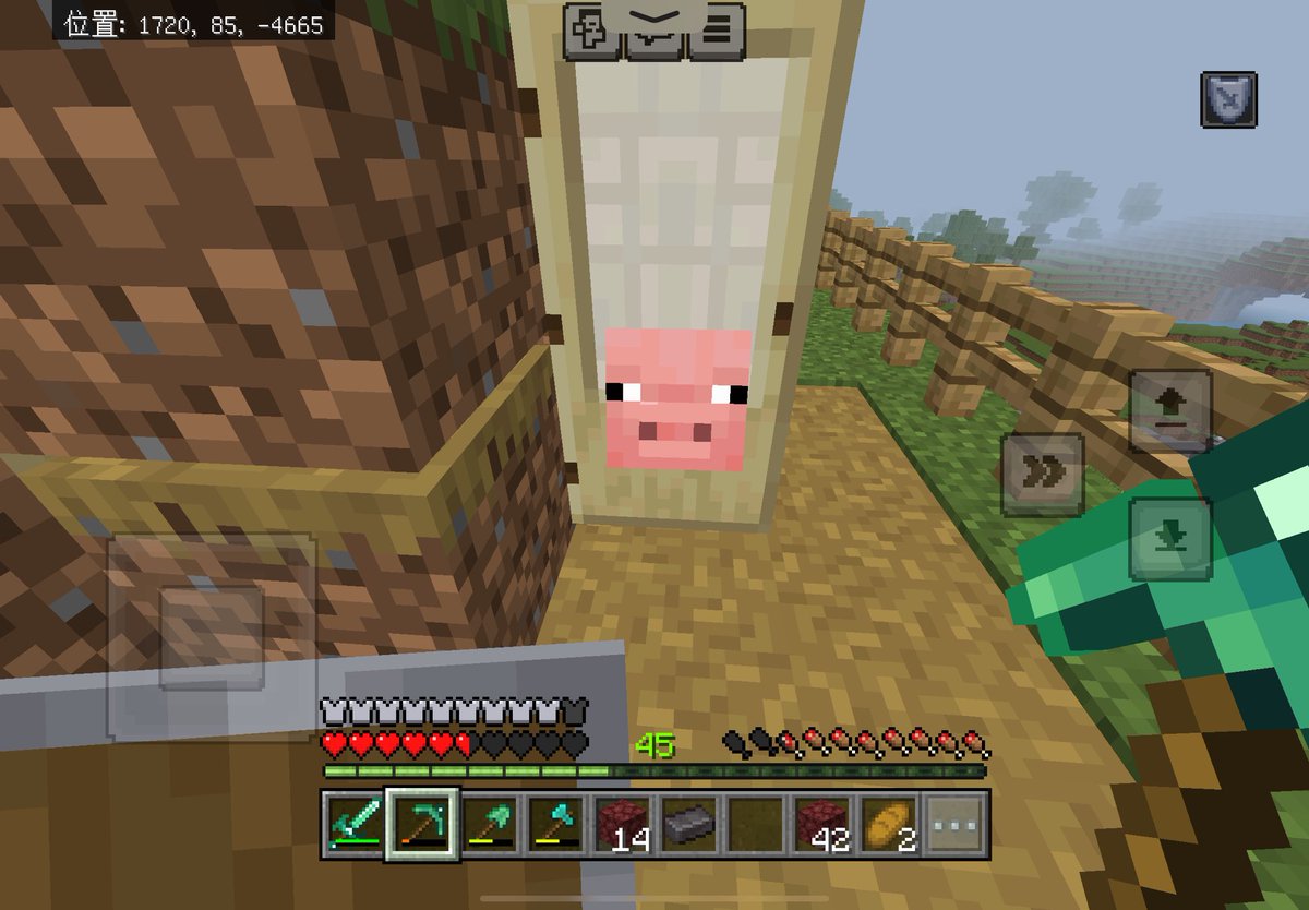 ドアに埋まるの好きすぎだろw