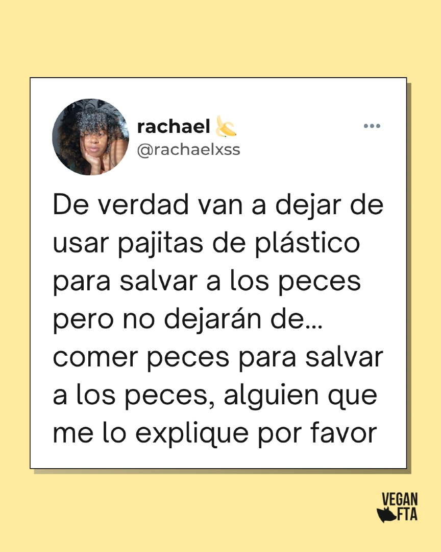 VeganFTAEspanol's tweet photo. ¿Alguien le encuentra sentido? 🤷‍♀️⁠
⁠
La industria pesquera es responsable de la mayor parte de la contaminación plástica del océano 😨⁠
⁠
⁠👉 Ayuda gratuita para hacerte vegan: https://t.co/hQhiQsMxuQ

#peces #pescadofrito #plástico #vidamarina #océano #plasticocean https://t.co/coeuvmmVBn