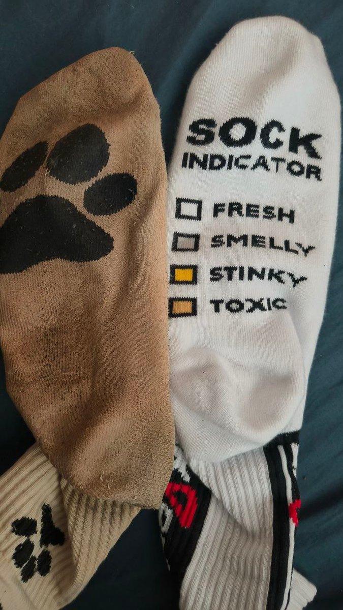 sock addict tweet media