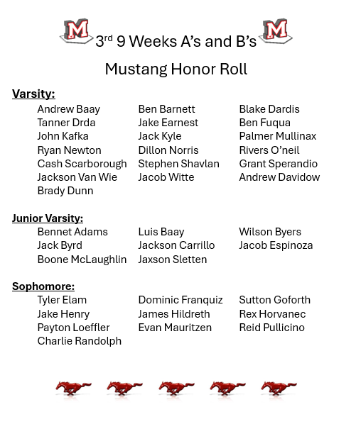 Memorial Baseball tweet media