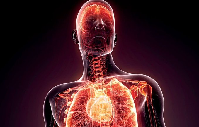 ANTİ-KANSER BESLENME MÜMKÜN!
İltihaplanma/Enflamasyon sessizce sağlığınızı mahvediyor. 
Altta yazan tüm durumların temel nedeni de bu!
• Organlarda yağlanma
• Beyin sisi
• Eklem ağrıları
• Kalp ve damar hastalıkları
• Otoimmün sorunlar
ve TABİ KANSER!
İşte bu riskleri nasıl