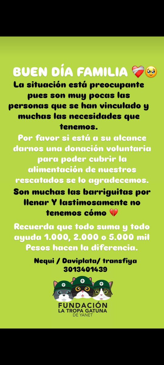 Una fundación que rescata gatitos necesita donaciones por si alguien puede colaborar 🥺