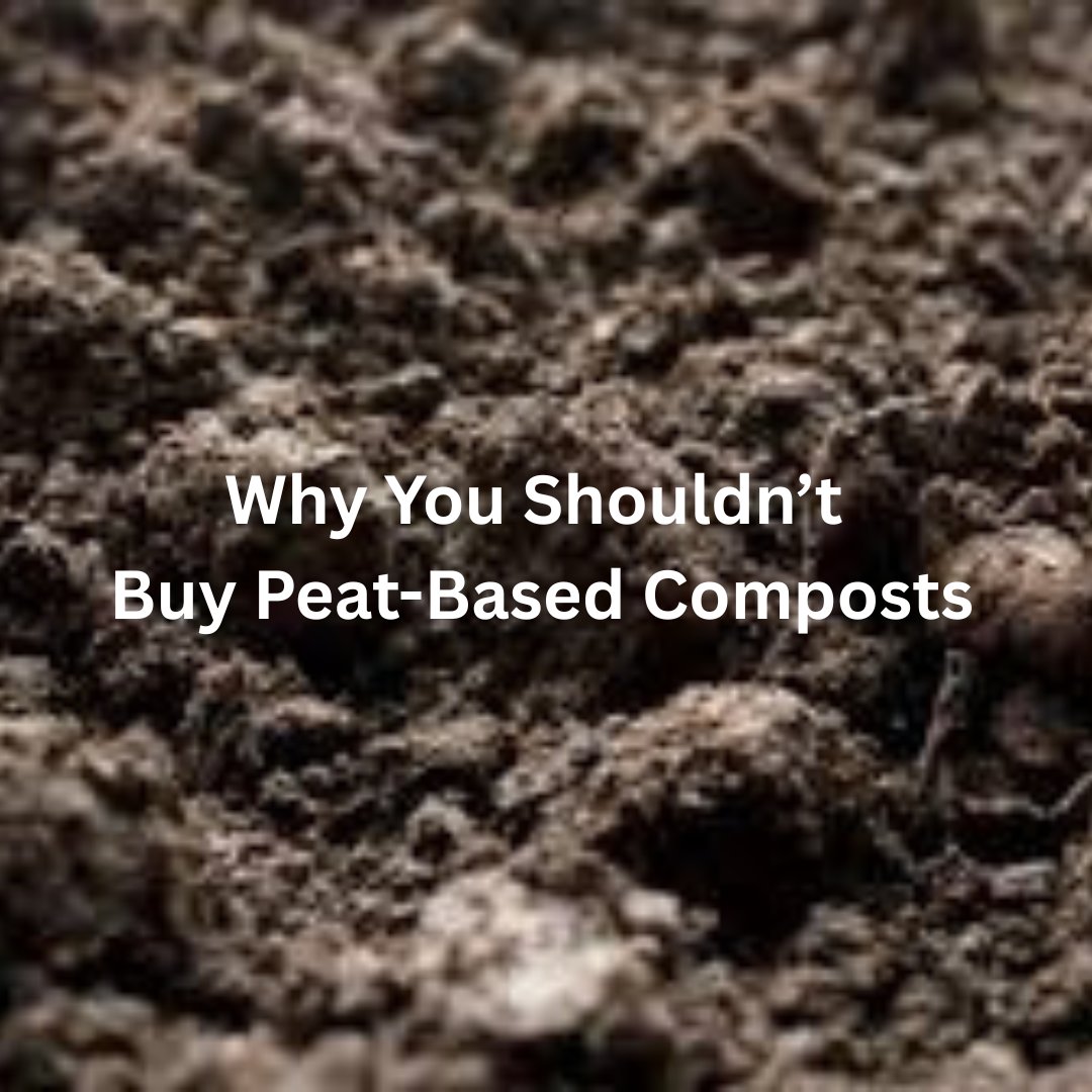 UpTheGardenCo's tweet photo. Gardening is one of the most relaxing and fulfilling activities that you can do.
Continue Reading: https://t.co/TxyJ6e6WwX
#compost #soil #soilimprover #mulching #peat #peatfree #peatfreecompost #peatfreegardening #gardening #gardens #garden #gardener #pottingshed #pottingmix https://t.co/Sd11jbtWOr