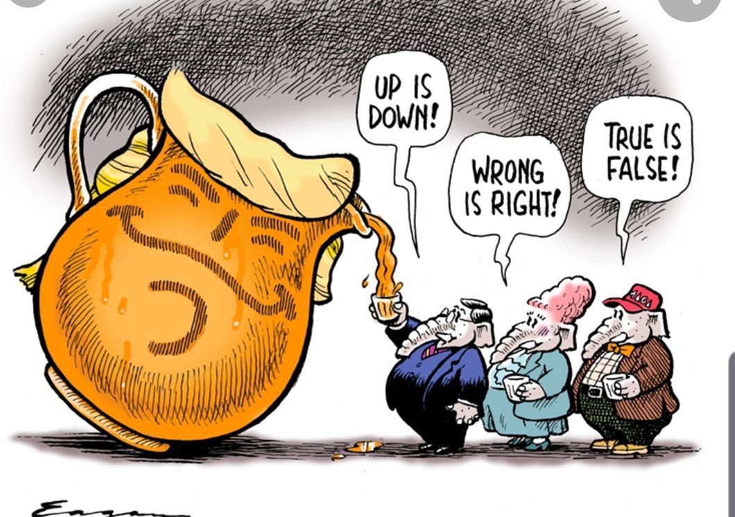 <a href="/Scaramucci/">Anthony Scaramucci</a> MAGA