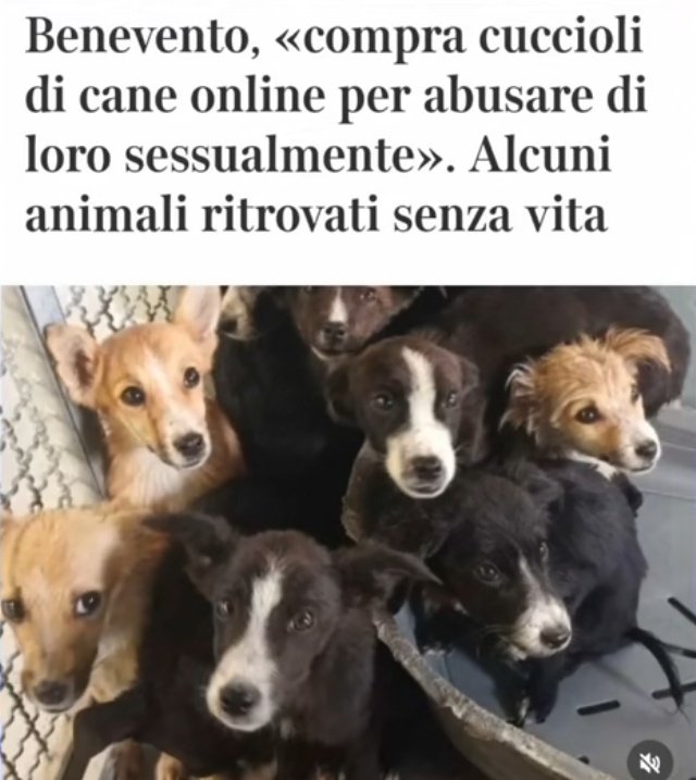 Indovinate chi ha fatto questa roba disumana?
Esattamente, un uomo.