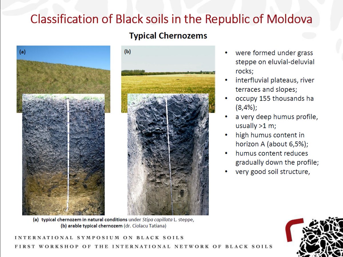 agronomix22's tweet photo. Terres Noires: Terra Preta, Mollisols,...ces terres qui illustrent parfaitement le fait qu'un sol est à son optimum de fertilité quand il stocke sur un maximum de sa profondeur du C. Un constat à l'opposé de ce qui se dit encore en majorité en agro-Fr.... https://t.co/z5odp3RzmN