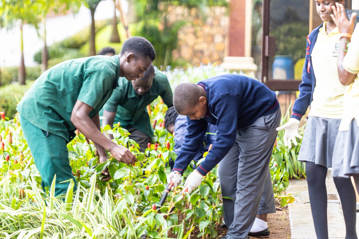 KabojjaSchool's tweet image. Service As Action at Kabojja.
Our IB students embraced "Making a Difference, One Step at a Time" by engaging in acts of service like meal serving, cleaning, gardening & teaching. A hands on way to build empathy, collaboration & care.
#ServiceLearning #IBProgram #MakingADifference