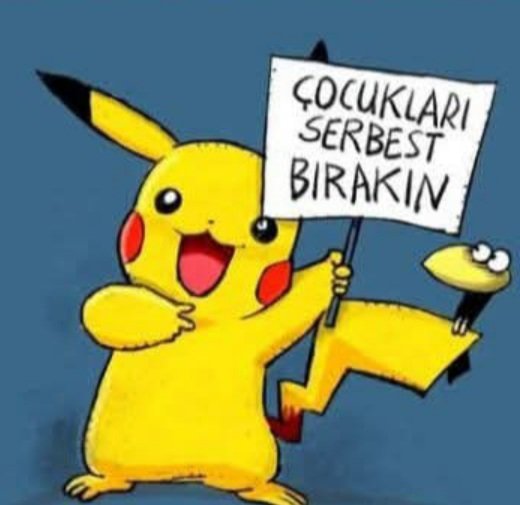 Azrazamani's tweet photo. @RTErdogan https://t.co/rO5vFOtqt0