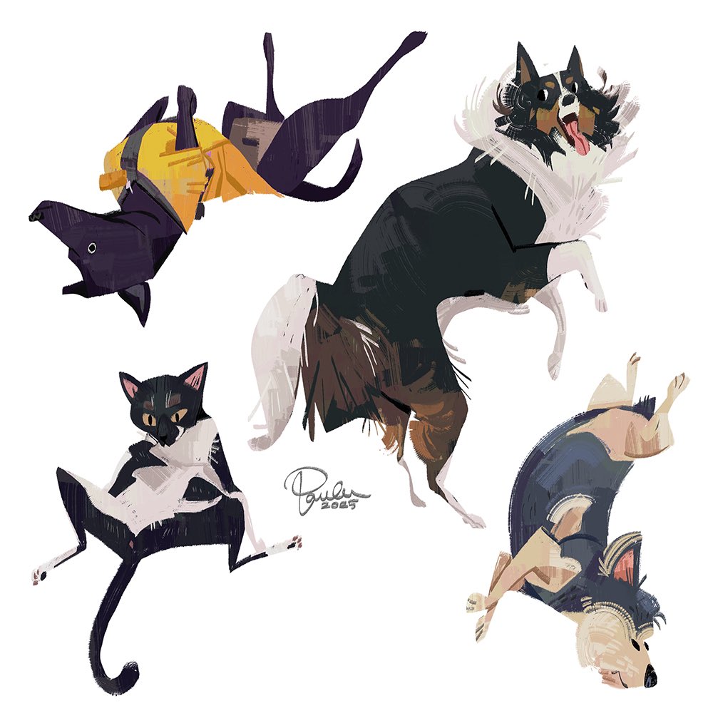 paula_hsu8's tweet image. Dogs and cats 3