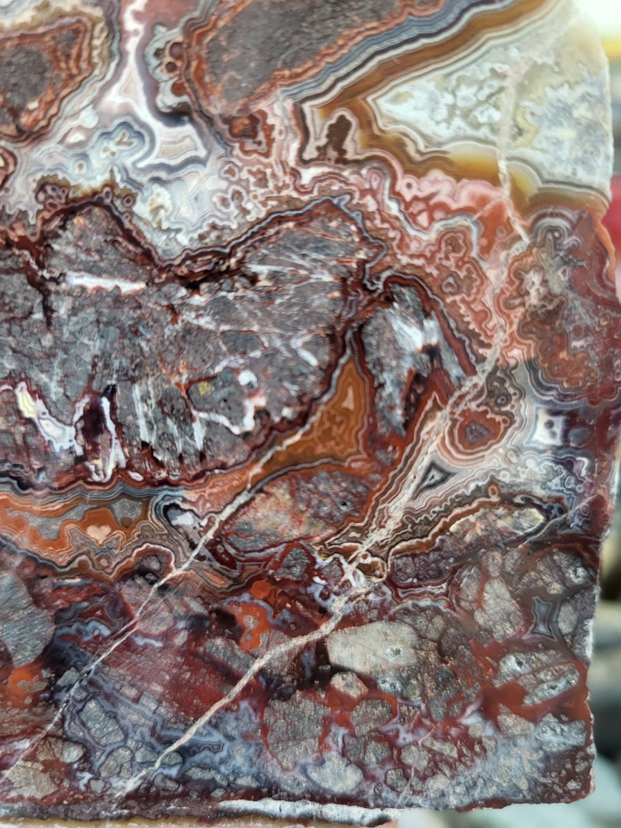 NextLevel_Rocks's tweet photo. Next level rosetta lace slab we polished this morning. Look at these colors and bandings!! Formation with purple in the bottom left is rare also!

#Purple #agate #slabs #red #NextLevel #art
#stoned #fun #exotic #謎解きはディナーのあとで #งานบอล55ปีช่อง3xพีคมิ้นท์ #งานบอลช่อง3 https://t.co/NosnQwOgp8