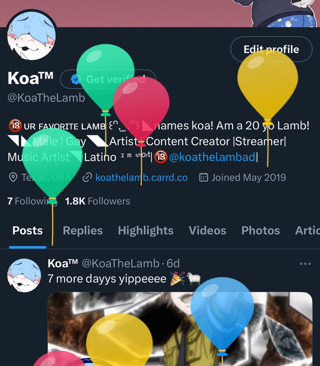 Balloons everywhere :3 🎉🎂