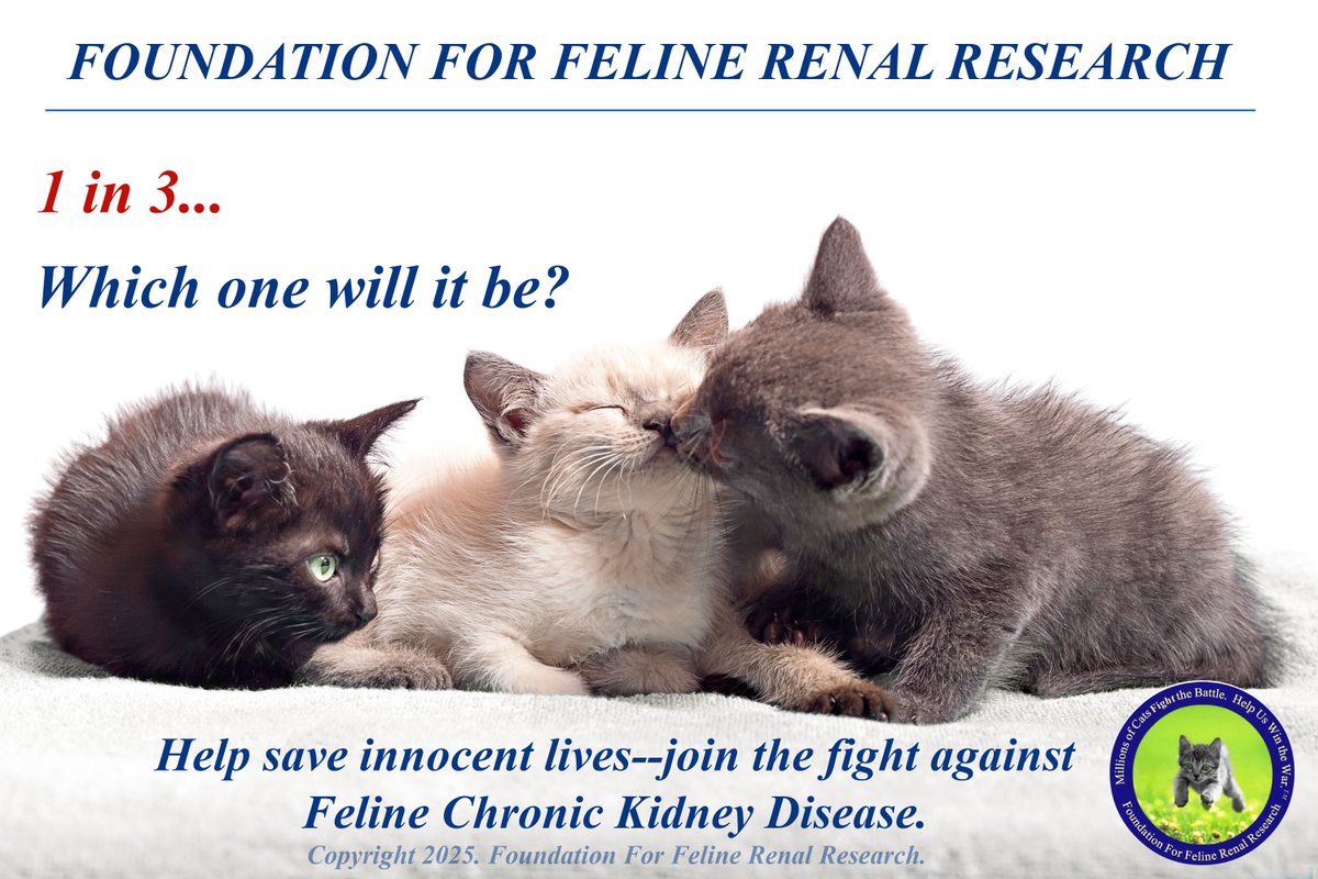 Feline Chronic Kidney Disease will claim approximately 1 in 3 of our beloved #Cats!!    

Please:  LEARN, SHARE, AND BE PROACTIVE!! 
LEARN about #FelineCKD,  
SHARE to raise awareness, 
BE PROACTIVE--get regular vet checkups, &amp; be aware of the signs of Feline CKD!!
#Caturday.