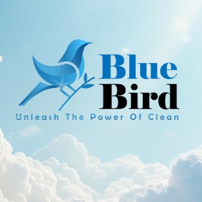 bluebirdsheets tweet picture