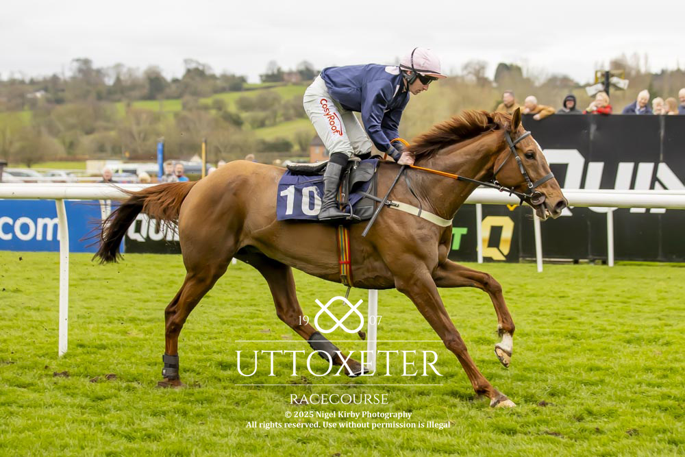 Uttoxeter Racecourse (@uttoxeterraces) on Twitter photo Race 5 - Abode Estate Agents Handicap Chase (GBB Race)
Winner - Konfusion
Trainer - Joel Parkinson & Sue Smith
Jockey - <a href="/Danmcmenamin1/">Danny Mcmenamin</a>
Owner - Mrs S. Smith
All images taken by - Jonathan Hipkiss on behalf of <a href="/nigekirby/">Nigel Kirby Photography</a> Race 5 - Abode Estate Agents Handicap Chase (GBB Race)
Winner - Konfusion
Trainer - Joel Parkinson & Sue Smith
Jockey - <a href="/Danmcmenamin1/">Danny Mcmenamin</a>
Owner - Mrs S. Smith
All images taken by - Jonathan Hipkiss on behalf of <a href="/nigekirby/">Nigel Kirby Photography</a>