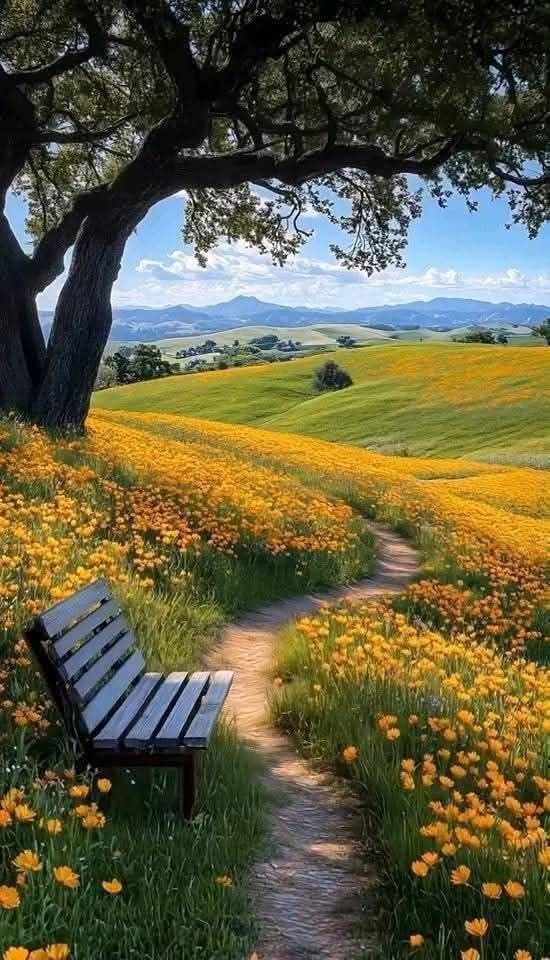 Beauty of Nature (@ishtiaq36611678) on Twitter photo 