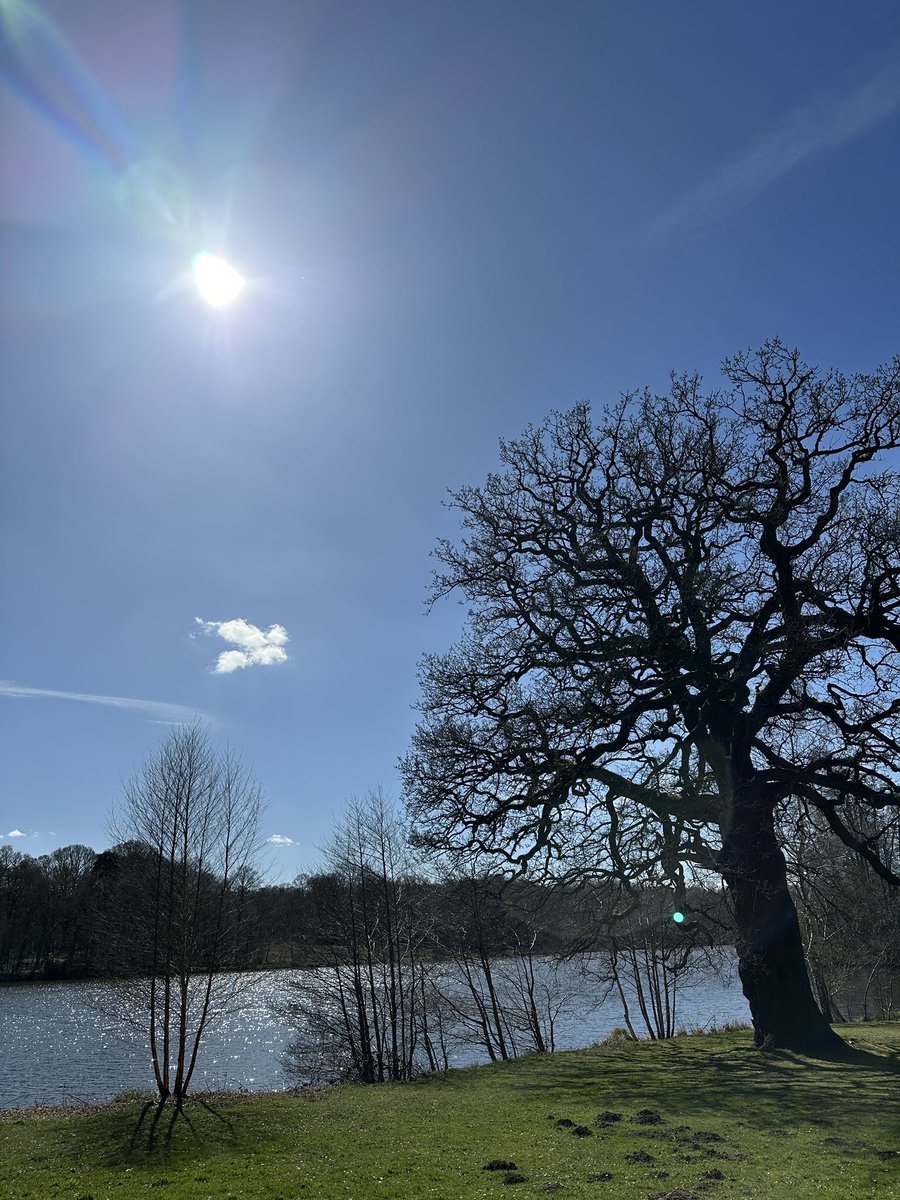 ☀️ ☀️ ☀️