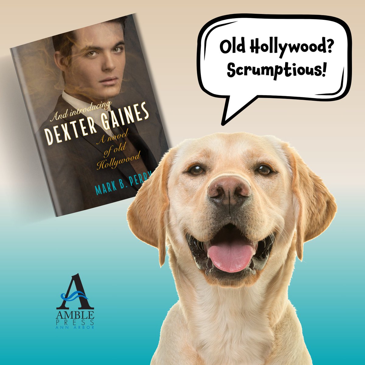 This is Petal, and she is a highly prized Beta Reader.

Petal knows a cravable book when she gets her paws on it.

Be like Petal.

And introducing Dexter Gaines: A Novel of Old Hollywood by Mark B. Perry, available everywhere on 05.06.25.

#LGBTQ #ComingSoon #TBR