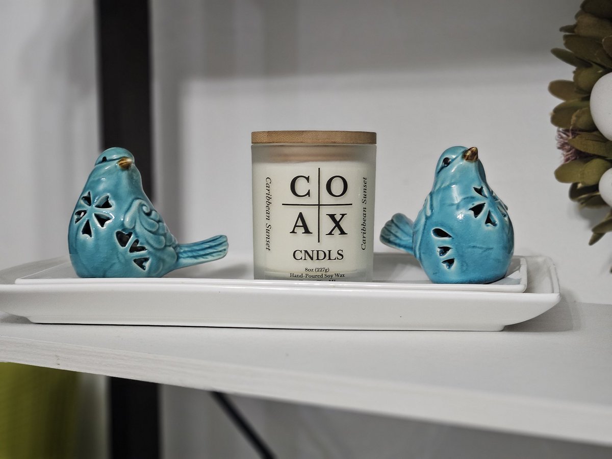 COAXCNDLS's tweet photo. 100% Soy Wax Candles, Wax Melts, Room Sprays, Car Diffusers, and Liquid Hand Soap! 🕯️💐

 https://t.co/eW9ujuPeAl 🛍️💻

#COAXCNDLS #SpringSale #SoyCandles #WaxMelts #RoomSprays #CarDiffusers #HandSoap #NorthernMI #USShipping #LocalDelivery #ShopNow  #SmallBusinessLove 💖 https://t.co/zr5u7Z6VJL