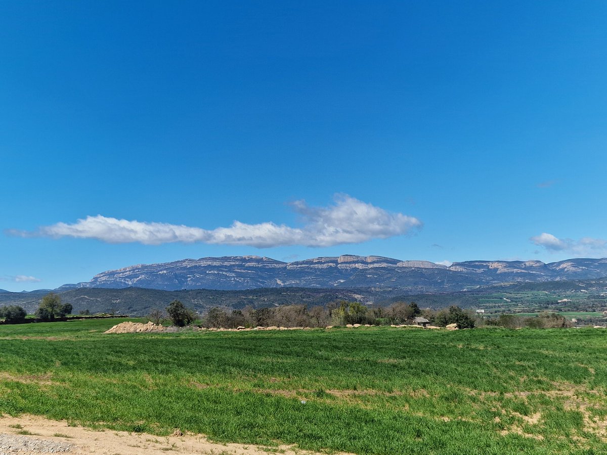 𝗠𝗔𝗥𝗖 | ᴅᴇʟᴏʀᴇᴀɴ tweet media