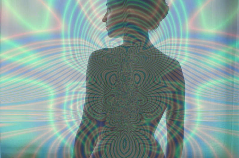 SILVANO TROTTA OFFICIEL tweet media