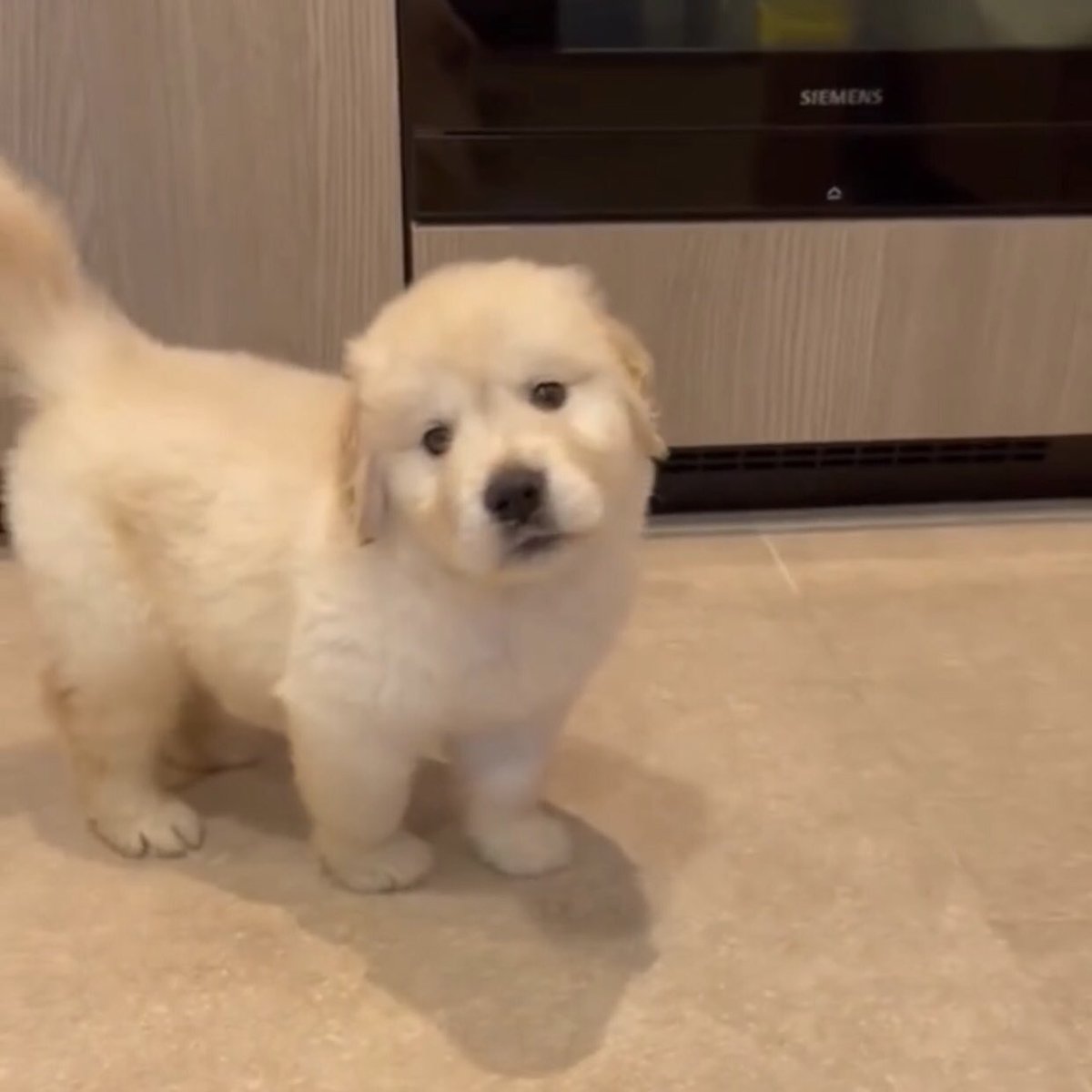 อยากให้เค้าไปนอนด้วยอ๋อ บอกรักก่องจิ