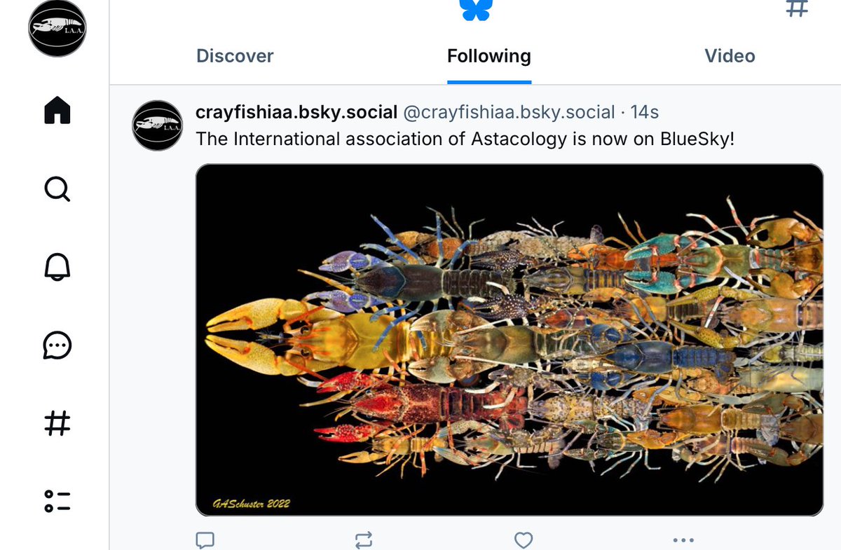 Dr. Crayfish (@drcrayfish) on Twitter photo 