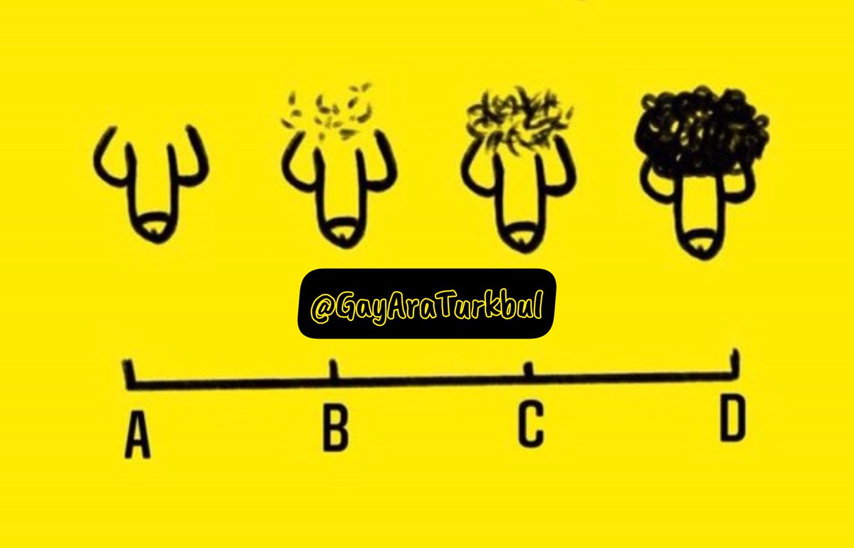 A - B - C - D mi? 
Yoruma resim atabilirsiniz 🍆