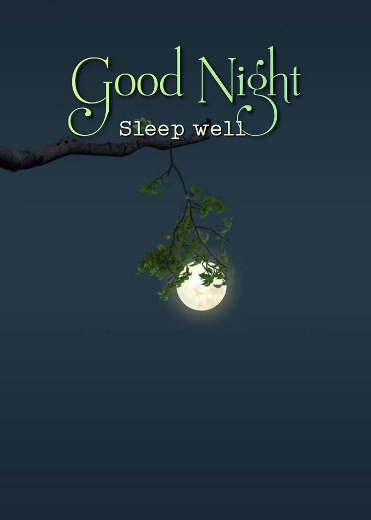 Surajfarmer's tweet photo. Good night friend's https://t.co/zWL0xjRXkf