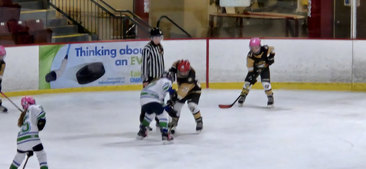 Trevor Murphy tweet media