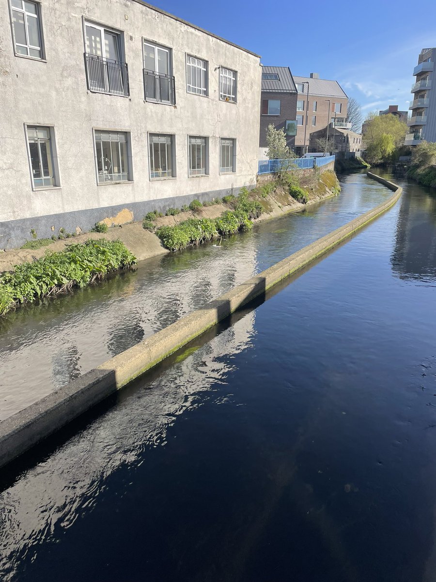 #CapitalRing walks continue 
Today from Crystal Palace to Wimbledon Park
Streatham absolutely beautiful with wood, common, Rookery and then Wandle River 
With tapioca flour crepe at Carvalho’s Cafe, ice cream and a pot of tea!