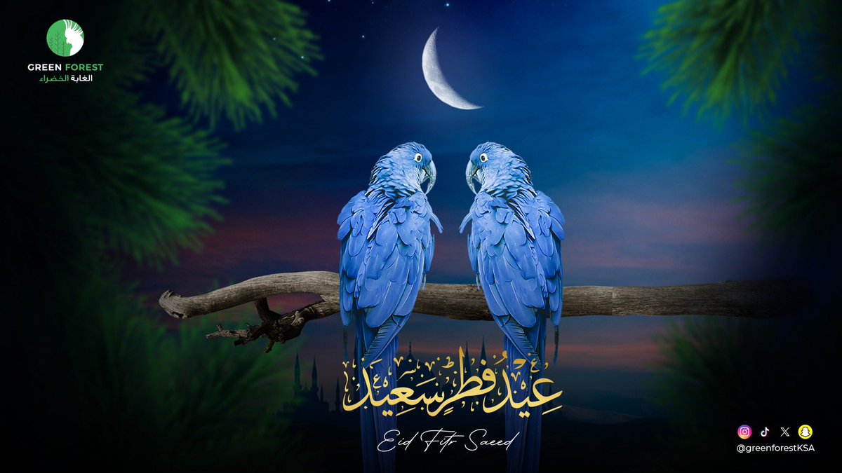 greenforestksa's tweet photo. أصدق التهاني والتبريكات بمناسبة حلول عيد الفطر المبارك.​
نسأل الله أن يعيده علينا وعليكم بالخير واليُمن والبركات،كل عام وأنتم بخير.

#الغابة_الخضراء 
#طيور #ببغاء #حديقة_طيور
#fyp #fypシ #trending #trend #اكسبلور #حديقة_متنقلة #ترند #الرياض   #كل_عام_وانتم_بخير https://t.co/GOtZe3nPZl