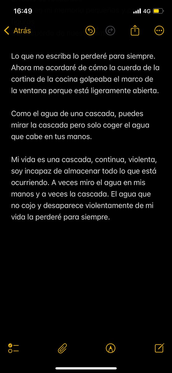 bearoid's tweet image. 