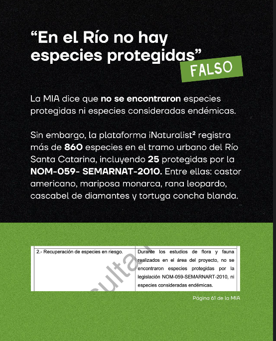 🔴⚡️#IMPORTANTE
El Colectivo <a href="/unrioenelrio/">Un Río En El Río</a> exige a la <a href="/SEMARNAT_mx/">SEMARNAT México</a> que encabeza <a href="/aliciabarcena/">Alicia Bárcena</a> rechace la autorización ambiental que solicitó el Gobierno de <a href="/nuevoleon/">El Gobierno de Nuevo León</a> para la construcción del Viaducto elevado de cuota sobre la Avenida Morones Prieto.
💥Los ambientalistas