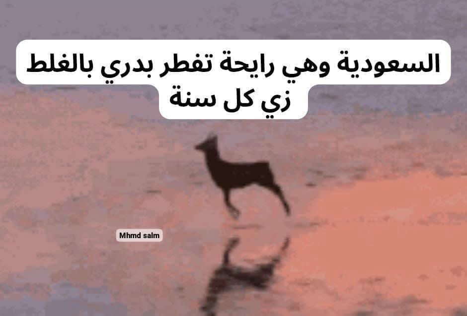 😂😂😂😂😂😂😂