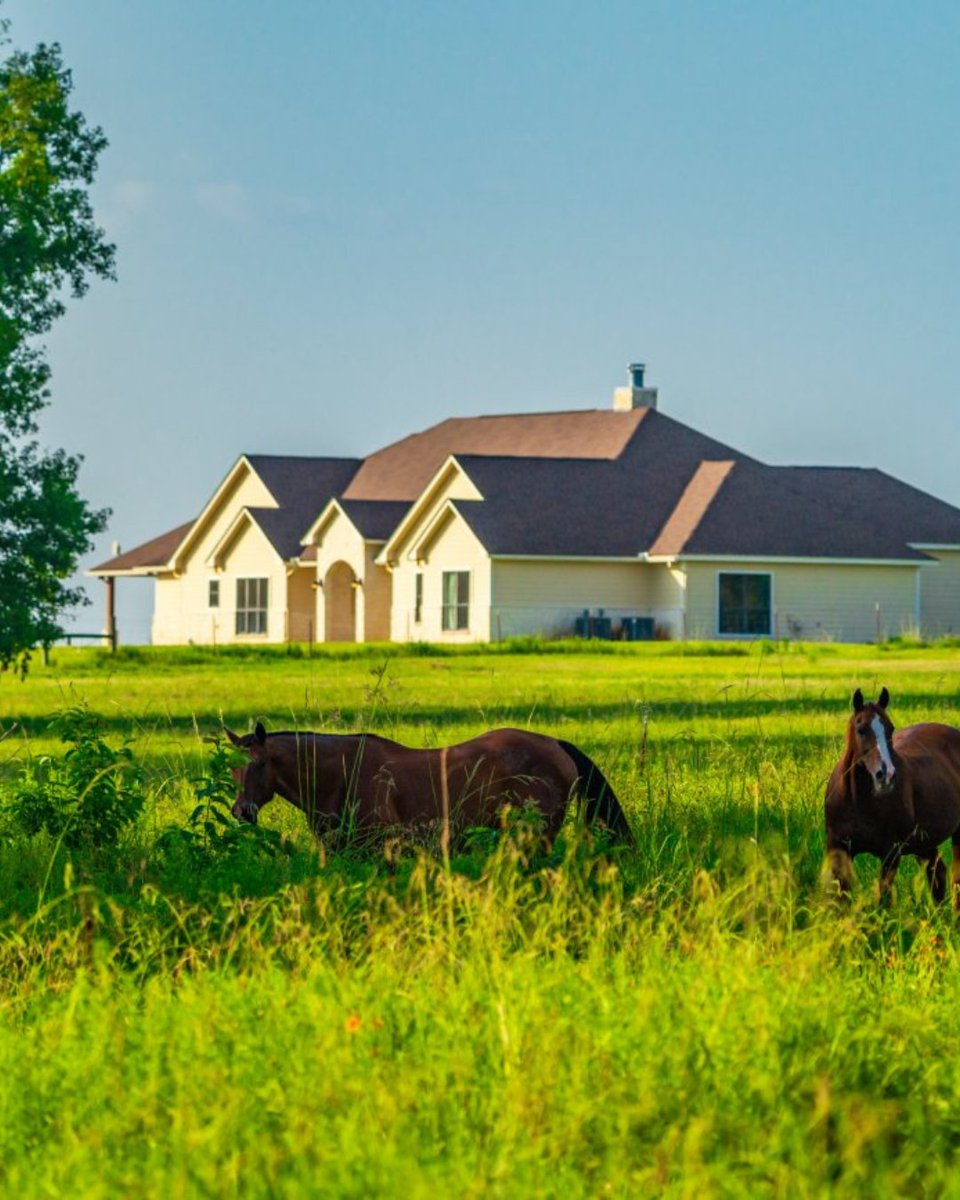 Republic Ranches tweet media