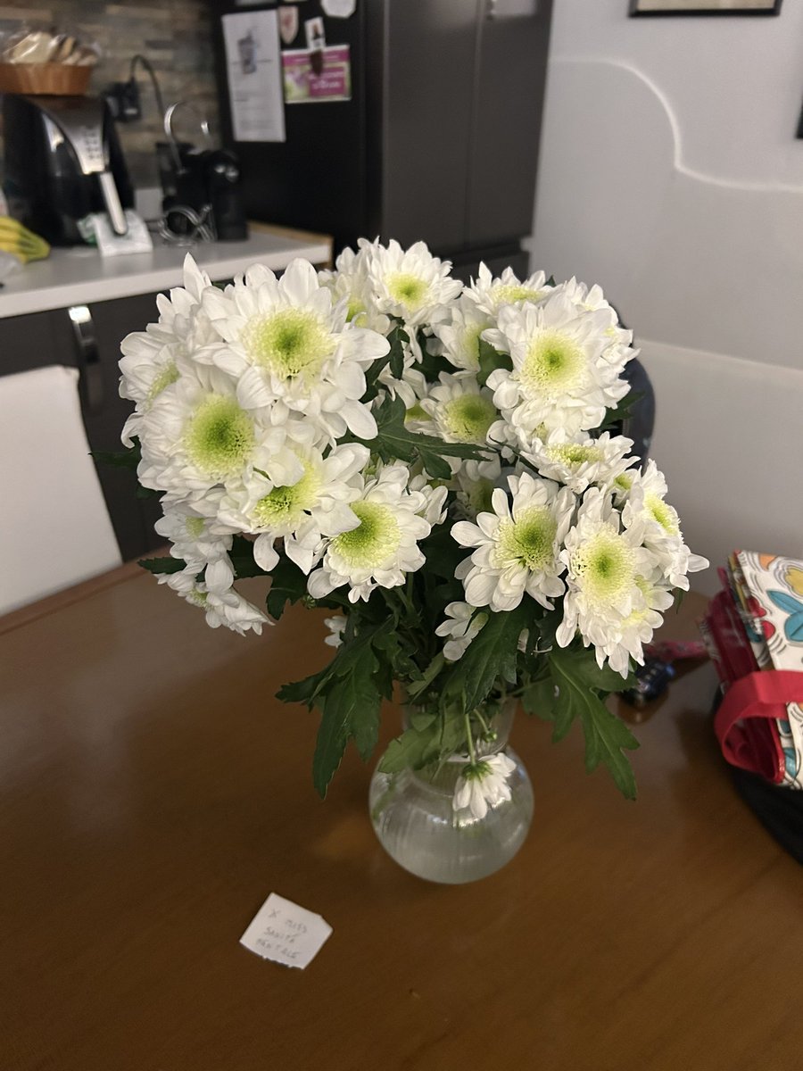 friendlyroberta's tweet photo. credo siano per festeggiare la fine del percorso di psicoterapia;
sì, sono proprio dei crisantemi… ma è pur sempre un big big boy in a big big world♥️ https://t.co/qj4xyC1BRM