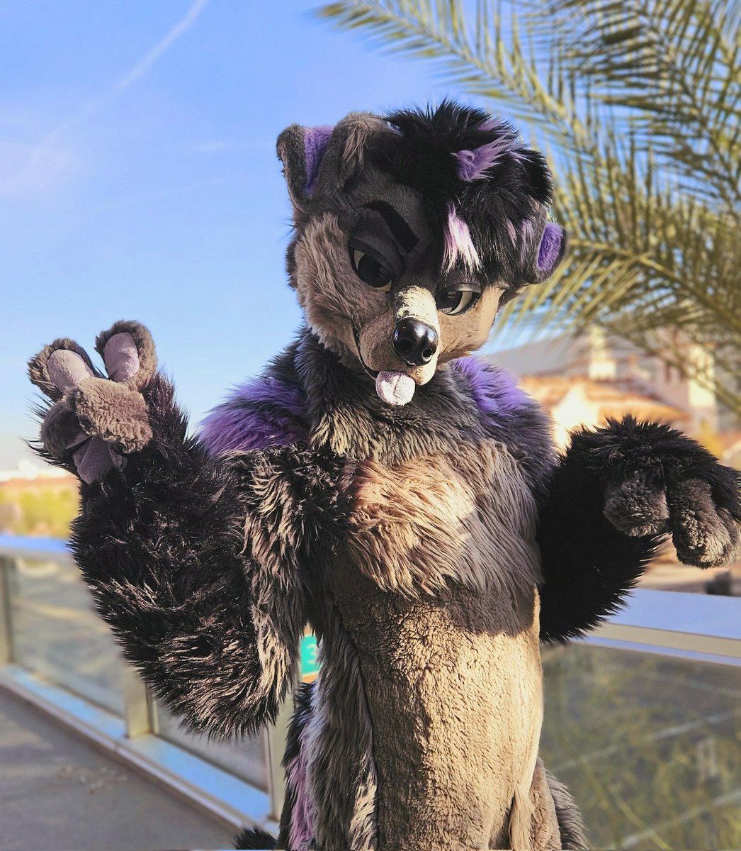 "when i pick u up later u better not be a zesty furry when i get there 🙄"

me: