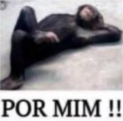 não vou pelejar não vou matutar e muito menos ir atrás que se foda