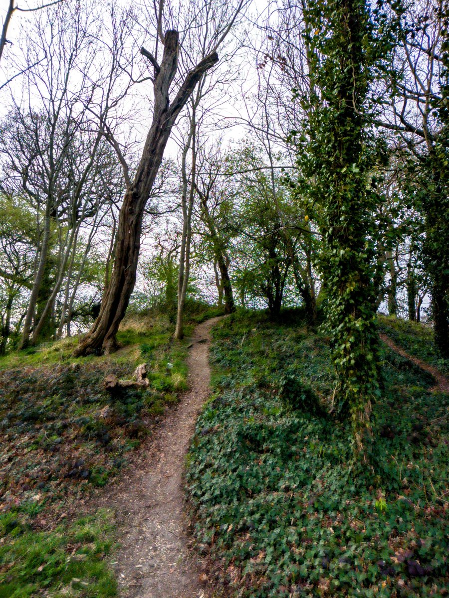 Unchartered Streets (@unchartereds) on Twitter photo This feels like a good place to stop: a Roman burial mound in Morden Park. In the late afternoon, it's very atmospheric... if I close my eyes, I can see togas, and sandals, and... yes, listen, Roman cavalry choirs are singing! And we all know what that sounds like.
#morden This feels like a good place to stop: a Roman burial mound in Morden Park. In the late afternoon, it's very atmospheric... if I close my eyes, I can see togas, and sandals, and... yes, listen, Roman cavalry choirs are singing! And we all know what that sounds like.
#morden