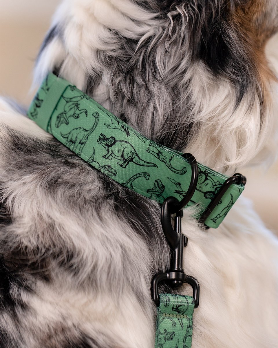 TagsforHope's tweet photo. Big attitude, even bigger style! 🦖 Jurassic Bark is here for the pups who love adventure and aren’t afraid to make a statement. Bold, fun, and totally dino-mite! 💥⁠
⁠
Last chance! The sale ends TOMORROW—save up to 20% before it’s gone! ⏳ SHOP NOW! https://t.co/QkcXam71mO https://t.co/VoaHd0Dgk2