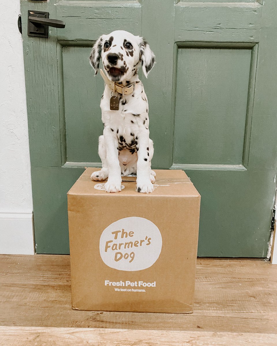 We happen to have some of the cutest customers in the entire world, and it would be rude of us not to share them with you. Say hello to some of the puppies starting off their lives on a healthy paw!

Get 50% your first box today: thefarmersdog.visitlink.me/akxfXb