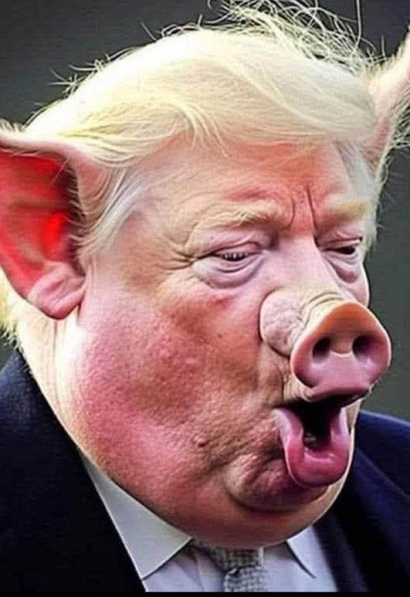 Fernando Oliver, Esq. tweet media