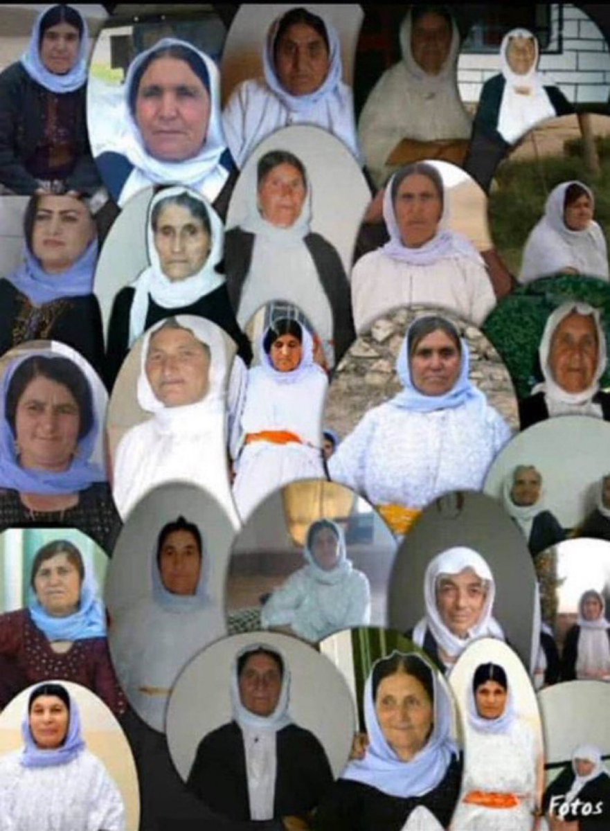 Remember the 80 Yazidi grandmas who were buried alive by Islamists in Iraq for being considered too old to be sex slaves.

Not a single Muslim protested for them, like they do for Palestine!