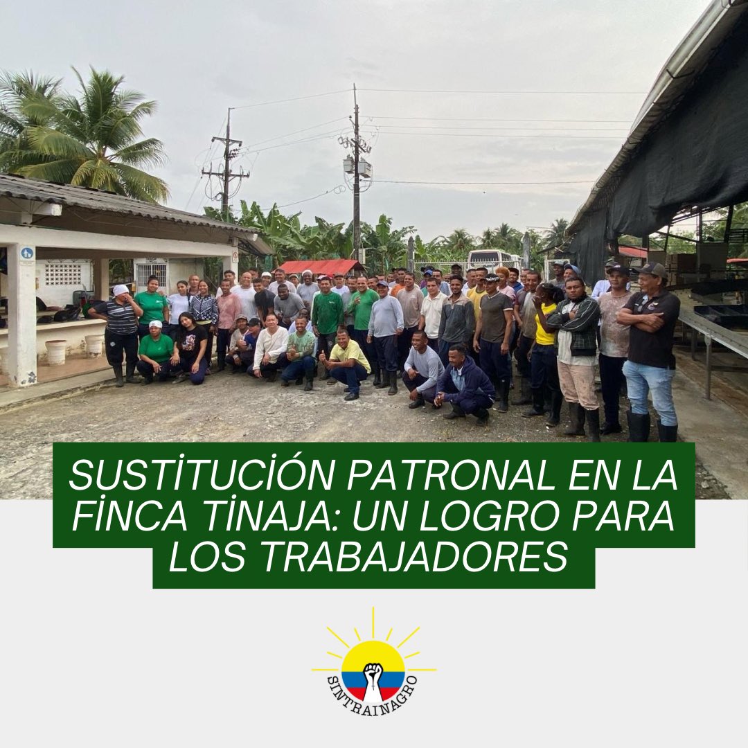 Sustitución patronal en finca Tinaja

Agroindustria Azahar S.A.S. y Agrícola Mayorca S.A.S. garantizaron estabilidad laboral para más de 80 trabajadores, respetando las Convenciones Colectivas.

Desde Sintrainagro, seguimos defendiendo los derechos de los trabajadores bananeros.
