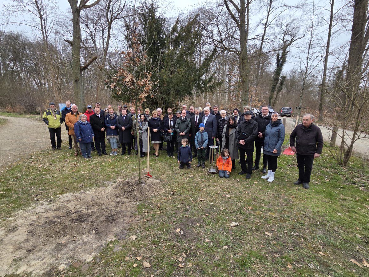 MecklenStrelitz's tweet photo. A Tree of Peace was planted in Neustrelitz today by the Duke of Mecklenburg, Andreas Grund, the Mayor of Neustrelitz, and Marek Sobola, the Tree of Peace initiative's founder and secretary general https://t.co/ItbkRdMSDb