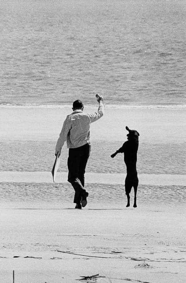 Siamo un mare di sentieri
che non torneremo più a rifare,
scie d'un istante,
fughe d'illusione,
in un eterno andare.

#UnPoeticoSentire
Clessidra 

#photo Elliott Erwitt