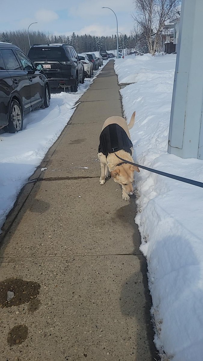 SteelWheel found #cubiecoin in a White vault at this location! Join me playing #cubieverse, It's awesome!   #5857626