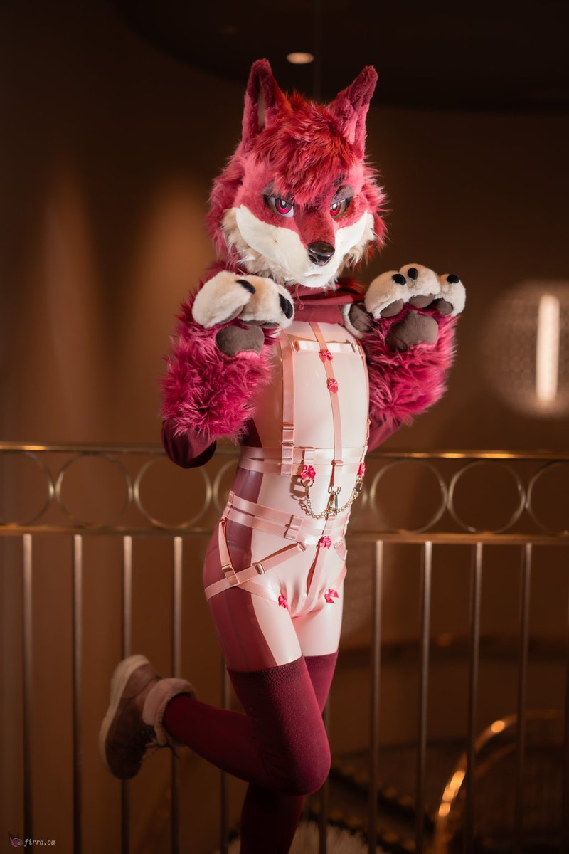 Come n' snatch me :3 

📸: <a href="/FirraWoof/">Firra</a> 
#SqueakySaturday