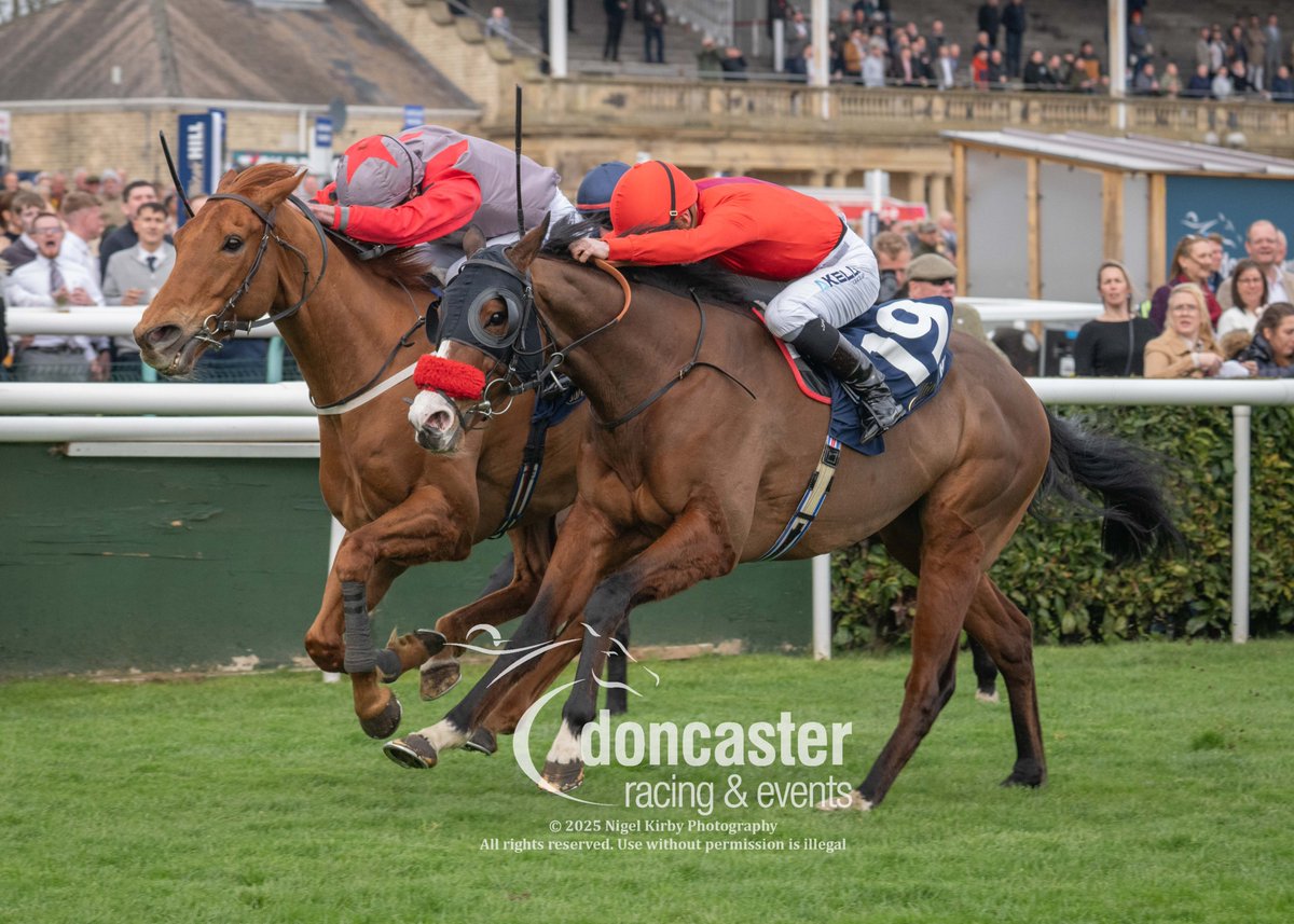 Doncaster Racecourse (@doncasterraces) on Twitter photo RACE 2 – William Hill Bet £10 Get £10 Spring Mile Handicap Stakes
🏆Pearl Eye🏆
J – <a href="/_JasonWatson/">Jason Watson</a>
T – Darryll Holland
O – Harraton Court Stables Ltd
đź“·<a href="/nigekirby/">Nigel Kirby Photography</a>
#DoncasterRaces RACE 2 – William Hill Bet £10 Get £10 Spring Mile Handicap Stakes
🏆Pearl Eye🏆
J – <a href="/_JasonWatson/">Jason Watson</a>
T – Darryll Holland
O – Harraton Court Stables Ltd
đź“·<a href="/nigekirby/">Nigel Kirby Photography</a>
#DoncasterRaces