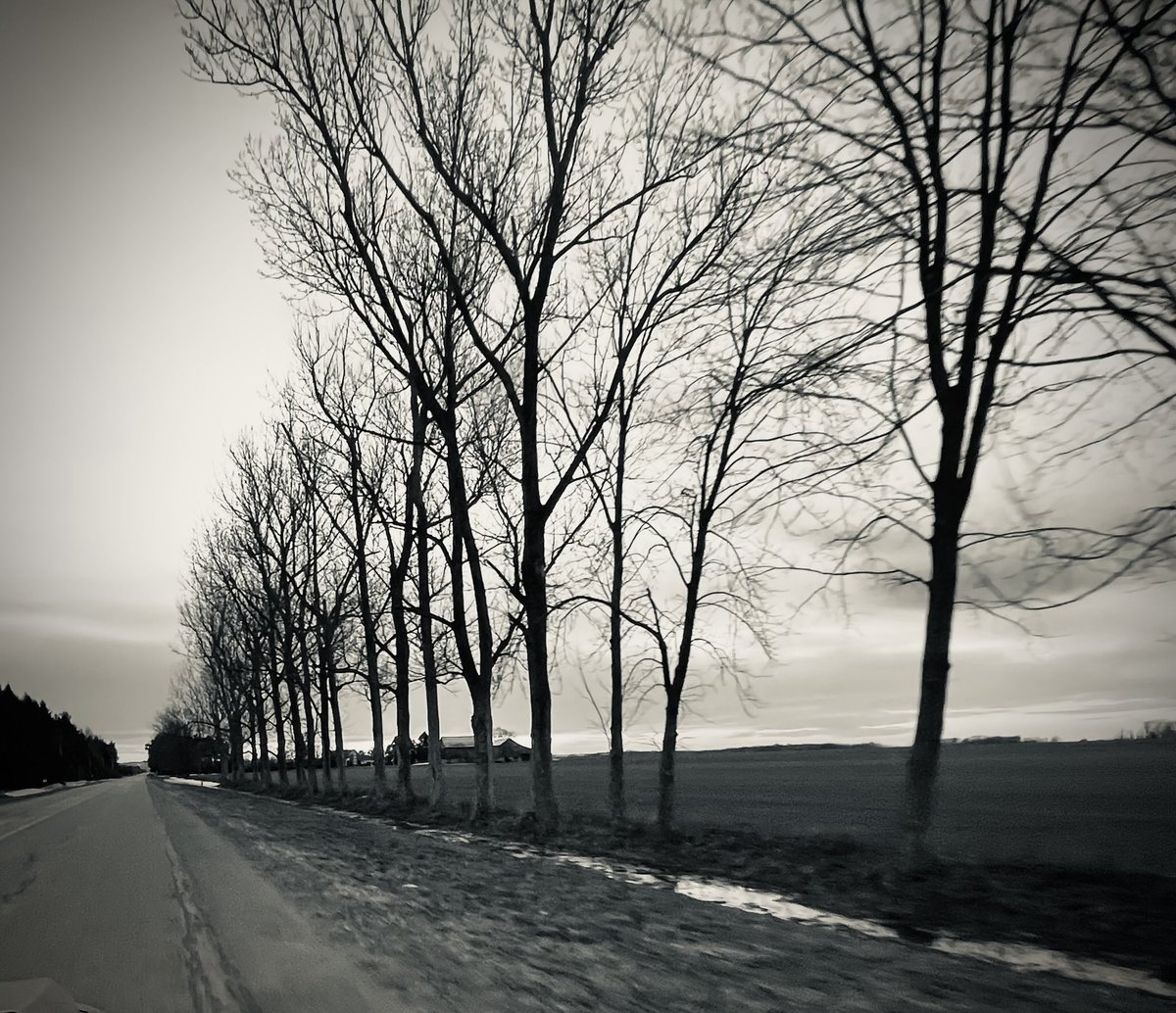 DonaldBPeck's tweet photo. Country road                                  #trees #bnw #photo https://t.co/y7FAOlaXgN